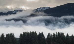 Southeast Alaska man dies in early morning pickup rollover