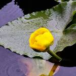 Wild Shots: Photos of Mother Nature in Alaska