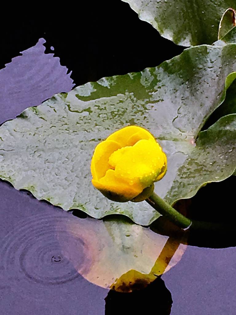 Wild Shots: Photos of Mother Nature in Alaska