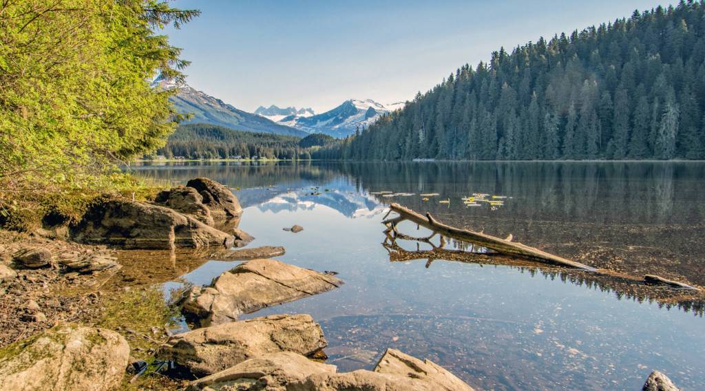 The mountains and trees reflect in Auke Lake on May 25, 2019. (Courtesy Photo | Kerry Howard)