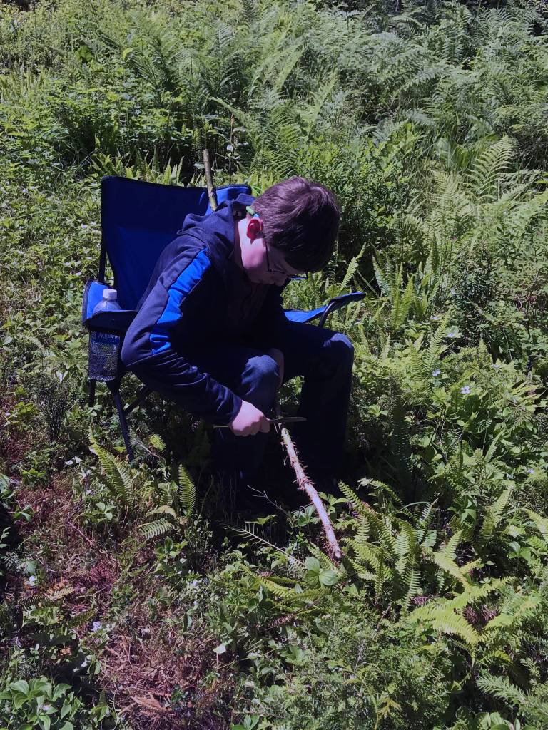 Grandson Timothy Pearson works on devils club. (Vivian Faith Prescott | For the Capital City Weekly)