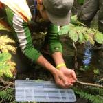 Constantine Metal Resources employees continue exploration for a mine referred to as the Palmer Project in the Chilkat Valley in this undated photo. (Courtesy photo | Constantine Metal Resources)
