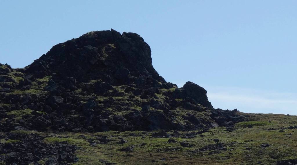 A sleepless walk under the midnight sun