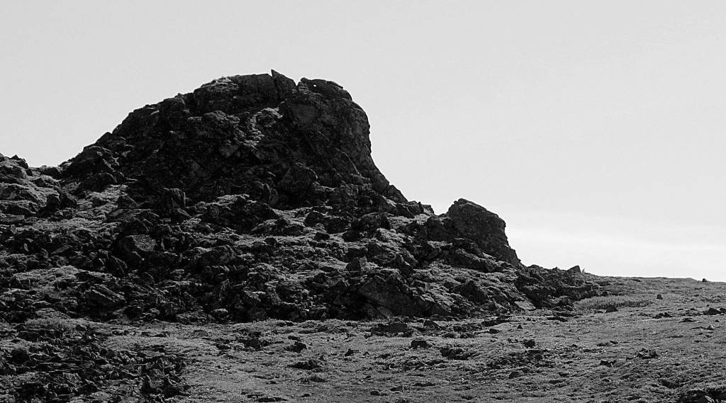 A sleepless walk under the midnight sun