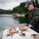 Todd Brocious cleans his crab catch at the Amalga Harbor boat launch on Wednesday, June 19, 2019. (Michael Penn | Juneau Empire)