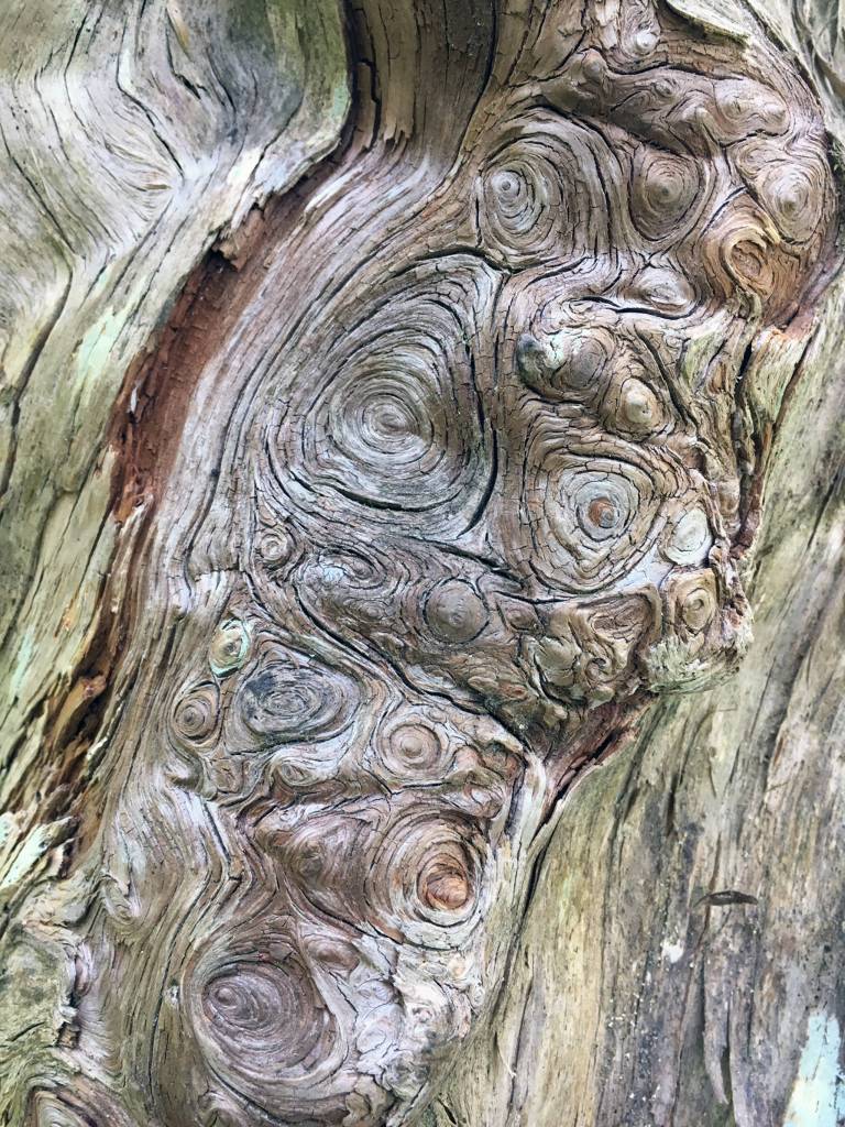 Photos: Art in Unusual Places