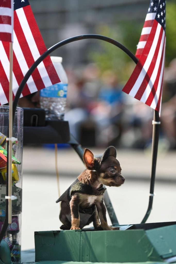 Juneau Fourth of July Parade on Thursday, July 4, 2019. (Michael Penn | Juneau Empire)