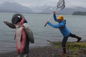 Salmon Run taking place on Saturday