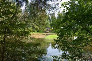 Juneau police ID person found deceased in pond