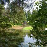 A pond at 9010 Atlin Drive on Wednesday, July 3, 2019. (Michael Penn | Juneau Empire)