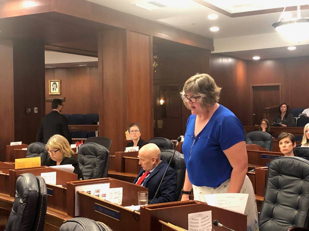 Representative Sara Hannan, D-Juneau, speaking in favor of an amendment adding funds for the Alaska Marine Highway System on Wednesday, July 24, 2019. (Peter Segall|Juneau Empire)