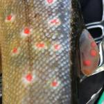 When a place isn’t just a place