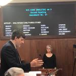 Sen. Bill Wielechowski, D-Anchorage, speaks in opposition to Amendment 5 to HB 2001 which would remove language allocating a $3,000 PFD on Monday, July 29, 2019. (Peter Segall | Juneau Empire)