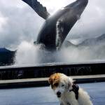 Twila sits in front of the whale statue in Mayor Bill Overstreet Park. (Courtesy Photo | Karen Wood)