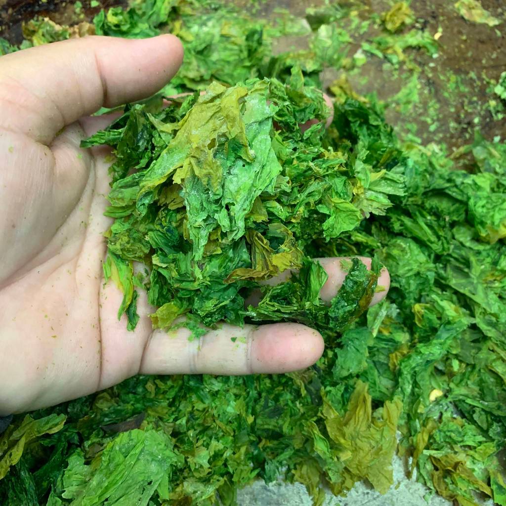 Dried seaweed, like the kind seen here, can be used for seasoning. (Vivian Faith Prescott | For the Capital City Weekly)