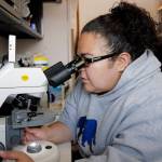 Lindsey Pierce, a environmental technician for Tlingit and Haida, looks for plankton in water samples taken at Point Louisa on Friday, Aug. 2, 2019. (Michael Penn | Juneau Empire)
