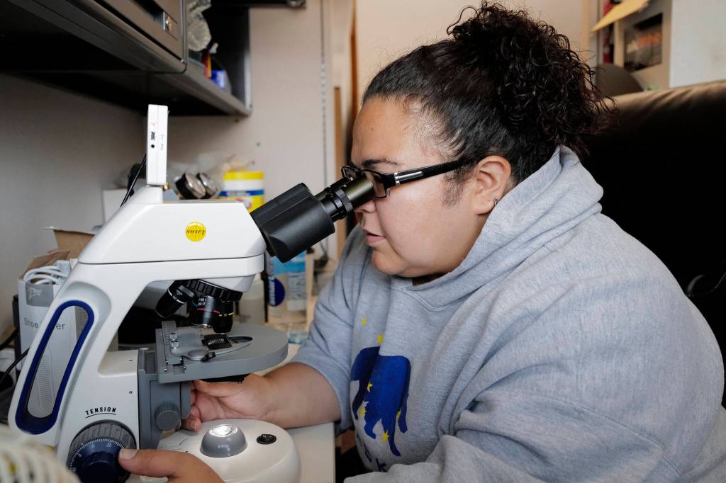 Lindsey Pierce, a environmental technician for Tlingit and Haida, looks for plankton in water samples taken at Point Louisa on Friday, Aug. 2, 2019. (Michael Penn | Juneau Empire)