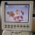 A monitor show plankton as Lindsey Pierce, a environmental technician for Tlingit and Haida, checks water samples taken at Point Louisa on Friday, Aug. 2, 2019. (Michael Penn | Juneau Empire)