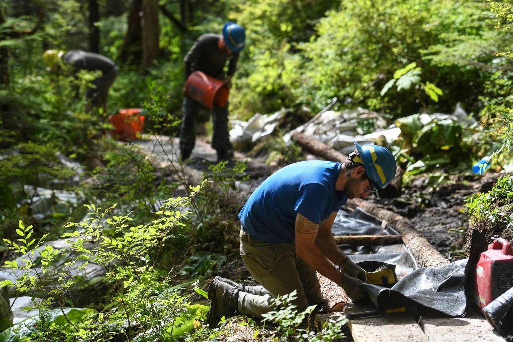 Andres Velez, right, Jase Tweedy, center, and Lou Eney work on the Auke Nu Trail splits on the way to the John Muir Cabin on Wednesday, Aug. 7, 2019. (Michael Penn | Juneau Empire)