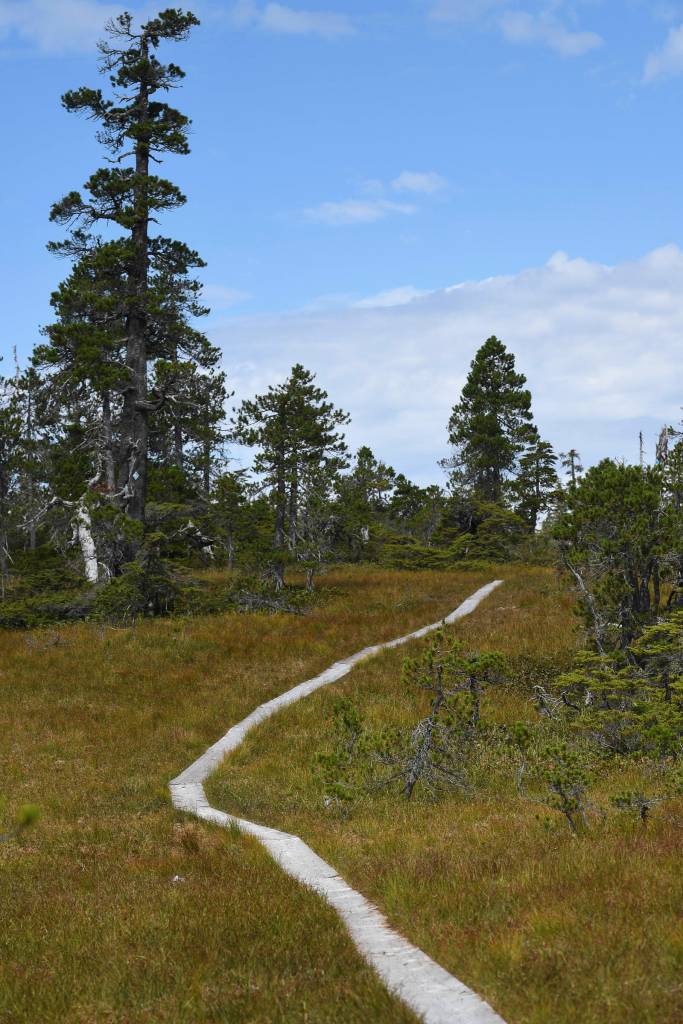 The Auke Nu Trail on its way to the John Muir Cabin on Wednesday, Aug. 7, 2019. (Michael Penn | Juneau Empire)