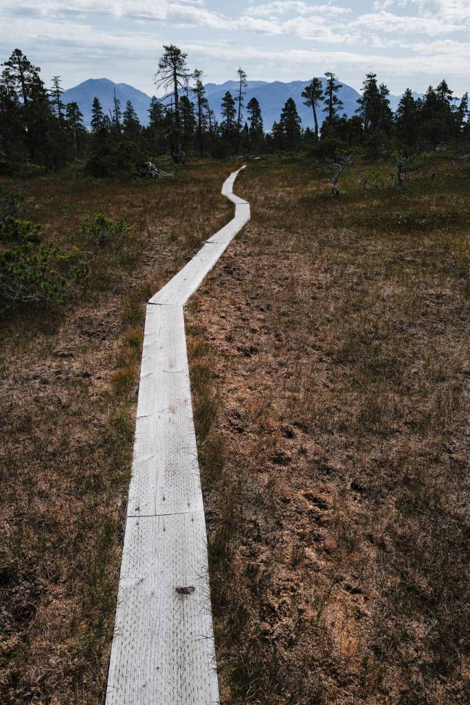 The Auke Nu Trail on its way from the John Muir Cabin on Wednesday, Aug. 7, 2019. (Michael Penn | Juneau Empire)