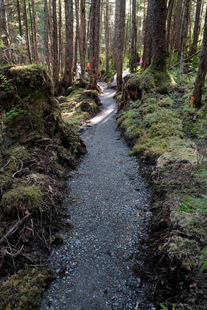 A new Treadwell Gorge reroute trail on the Treadwell Ditch Trail built by Trail Mix crew and volunteers on Thursday, Aug. 8, 2019. (Michael Penn | Juneau Empire)