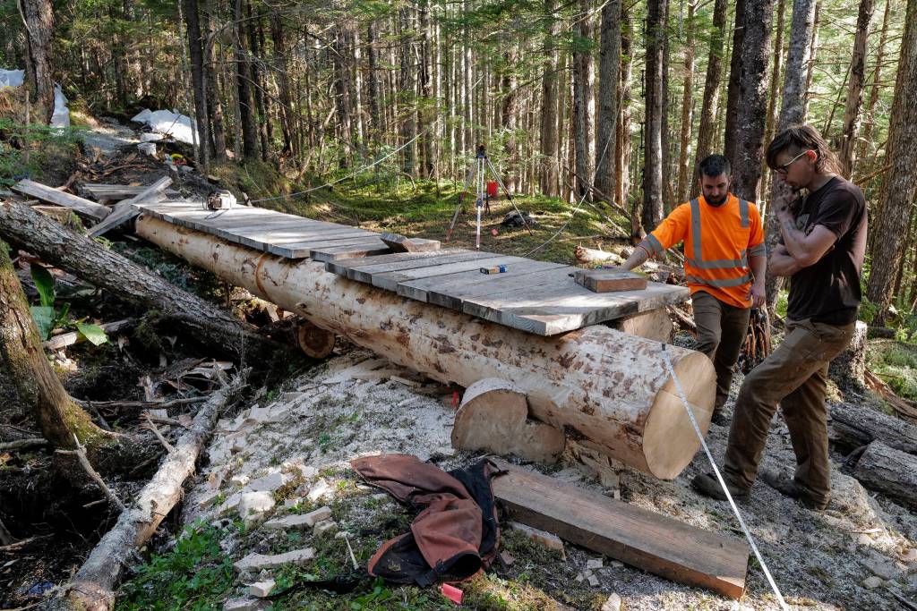 Crew leader Duncan Campbell, right, and Trail Mix Project Manager Ryan OShaughnessy work on a log bridge for a new Treadwell Gorge reroute trail on the Treadwell Ditch Trail on Thursday, Aug. 8, 2019. (Michael Penn | Juneau Empire)