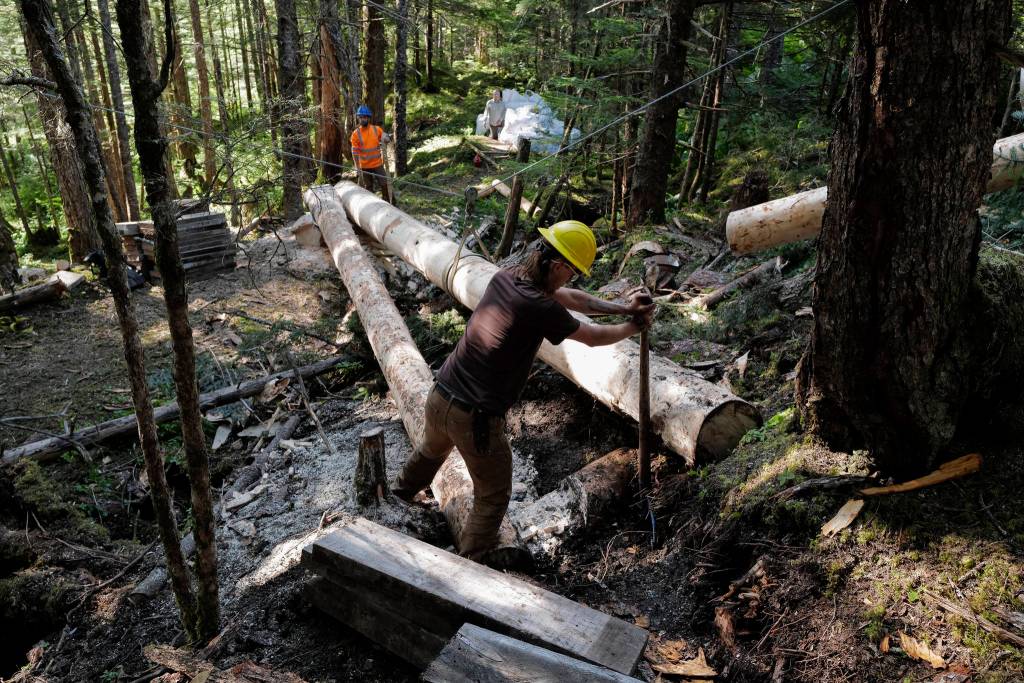 Crew leader Duncan Campbell, right, and Trail Mix Project Manager Ryan OShaughnessy work on a log bridge for a new Treadwell Gorge reroute trail on the Treadwell Ditch Trail on Thursday, Aug. 8, 2019. (Michael Penn | Juneau Empire)