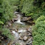 Granite Creek from a Perseverance Trail bridge on Wednesday, Aug. 14, 2019. (Michael Penn | Juneau Empire)