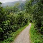 Perseverance Trail on Wednesday, Aug. 14, 2019. (Michael Penn | Juneau Empire)
