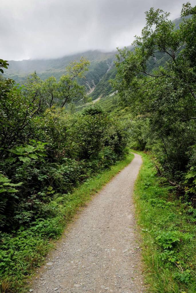 Perseverance Trail on Wednesday, Aug. 14, 2019. (Michael Penn | Juneau Empire)