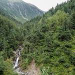 Ebner Falls seen from Perseverance Trail on Wednesday, Aug. 14, 2019. (Michael Penn | Juneau Empire)