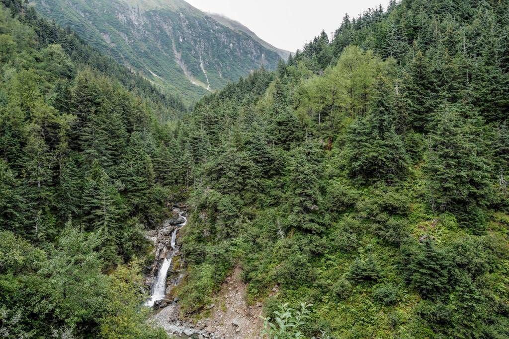 Ebner Falls seen from Perseverance Trail on Wednesday, Aug. 14, 2019. (Michael Penn | Juneau Empire)