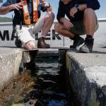 Deputy Harbormaster Matt Creswell, left, explains to the project to Shawn Price, of U.S. Coast Guard Regional Dive Locker West, at the Don D. Statter Boat Harbor in Auke Bay on Friday, Aug. 16, 2019. Members of the U.S. Armys 74th Engineer Dive Detachment and U.S. Coast Guard Regional Dive Locker West worked together to inspect and replace the bolts holding the harbors breakwater together. (Michael Penn | Juneau Empire)