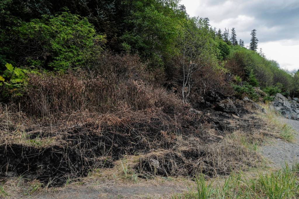 Fire damage at Sunshine Cove covers about one-half acre on Monday, Aug. 19, 2019. Capital City Fire/Rescue reports they responded to a wildfire at Sunshine Cove Friday night. Fireworks found on the scene are the suspected cause of the fire according to Capital City Fire/Rescue Assistant Chief Chad Cameron. (Michael Penn Juneau Empire)