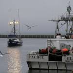 In this photo taken Monday, July 22, 2019, a boat with chinook salmon makes its way to Fishermans Wharf to unload its catch in San Francisco. California fishermen are reporting one of the best salmon fishing seasons in more than a decade, thanks to heavy rain and snow that ended the states historic drought. Its a sharp reversal for chinook salmon, also known as king salmon, an iconic fish that helps sustain many Pacific Coast fishing communities.(AP Photo/Eric Risberg)
