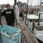 In this photo taken Monday, July 22, 2019, Ivan Montoya, left, of Flannery Seafood, holds up chinook salmon after it was brought in by Ron Kemp, right, at Fishermans Wharf in San Francisco. California fishermen are reporting one of the best salmon fishing seasons in more than a decade, thanks to heavy rain and snow that ended the states historic drought. Its a sharp reversal for chinook salmon, also known as king salmon, an iconic fish that helps sustain many Pacific Coast fishing communities.(AP Photo/Eric Risberg)