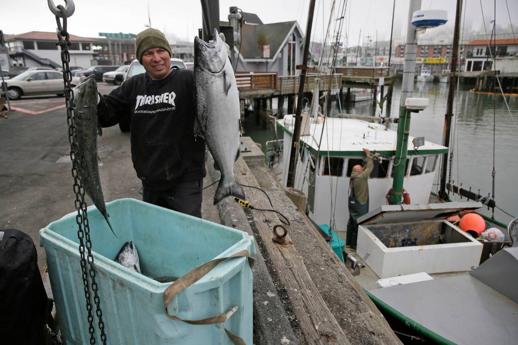In this photo taken Monday, July 22, 2019, Ivan Montoya, left, of Flannery Seafood, holds up chinook salmon after it was brought in by Ron Kemp, right, at Fishermans Wharf in San Francisco. California fishermen are reporting one of the best salmon fishing seasons in more than a decade, thanks to heavy rain and snow that ended the states historic drought. Its a sharp reversal for chinook salmon, also known as king salmon, an iconic fish that helps sustain many Pacific Coast fishing communities.(AP Photo/Eric Risberg)