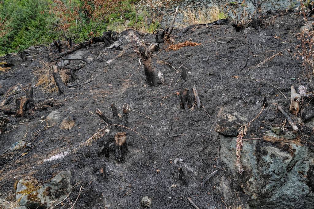 Recent wildfire response slowed by miscommunication