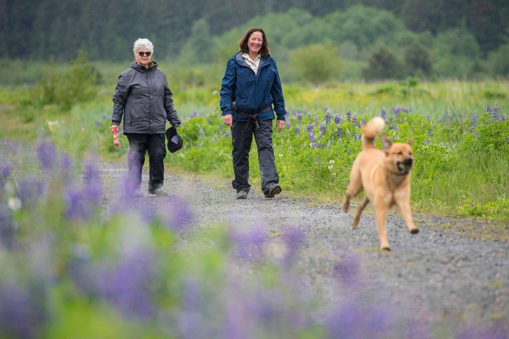 Surrounded by wildflowers, Kate McKelvey, left, and Mary Boas Hayes exercise Koa in the Mendenhall Wetlands State Game Refuge on Monday, June 3, 2019. (Michael Penn | Juneau Empire)