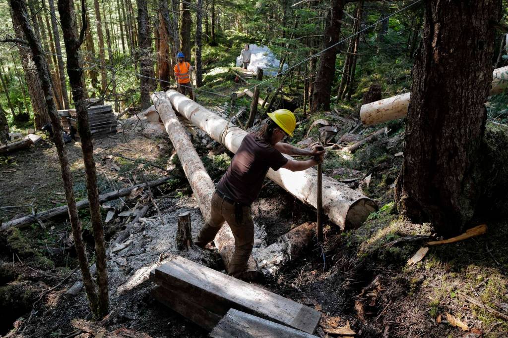 Crew leader Duncan Campbell, right, and Trail Mix Project Manager Ryan OShaughnessy work on a log bridge for a new Treadwell Gorge reroute trail on the Treadwell Ditch Trail on Thursday, Aug. 8, 2019. (Michael Penn | Juneau Empire)