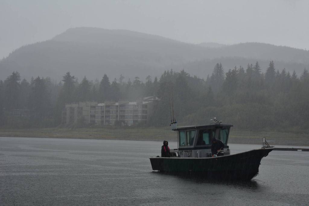 A boat pulls into Auke Bay Harbor during a mid-day downpour on Sunday, Aug. 25, 2018. (Peter Segall | Juneau Empire)