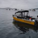 Fishing boats stream out of the Don D. Statter Boat Harbor in Auke Bay for the start of the Golden North Salmon Derby on Friday, Aug. 23, 2019. (Michael Penn | Juneau Empire)