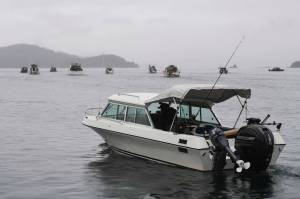 Fishing boats stream out of Don D. Statter Boat Harbor in Auke Bay at the start of the Golden North Salmon Derby on Friday, Aug. 23, 2019. (Michael Penn | Juneau Empire)