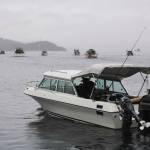 Fishing boats stream out of Don D. Statter Boat Harbor in Auke Bay at the start of the Golden North Salmon Derby on Friday, Aug. 23, 2019. (Michael Penn | Juneau Empire)
