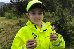 Jackson Pearson identifies Labrador tea, left, and Bog Laurel, right. (Vivian Faith Prescott | For the Capital City Weekly)