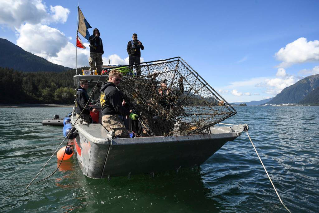 Members of the Armys 74th Engineer Dive Detachment work off a Juneau Harbormaster boat to pull up a lost commercial crab pot in Gastineau Channel for the Douglas Indian Association/NOAA Marine Debris Project on Thursday, Sept. 5, 2019. The project aims to identify and remove derelict crab pots and their continued negative impact on wildlife and the environment. (Michael Penn | Juneau Empire)