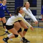 Falcons spikers too much for Wolves