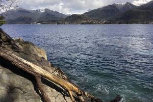 Mental Health Trust begins land sale