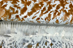 The feathery look of oxidation on a downtown guardrail is seen in this Aug. 8, 2019 photo. (Courtesy Photo | Denise Carroll)